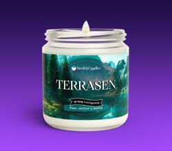 Vela Terrasen grande encendida