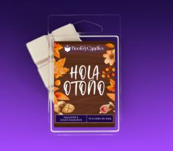 Hola otoño wax melt