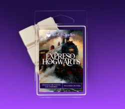 Wax melt Expreso de Hogwarts