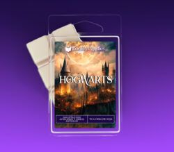 Wax melt Hogwarts