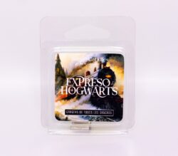 Bits melt Expreso de Hogwarts